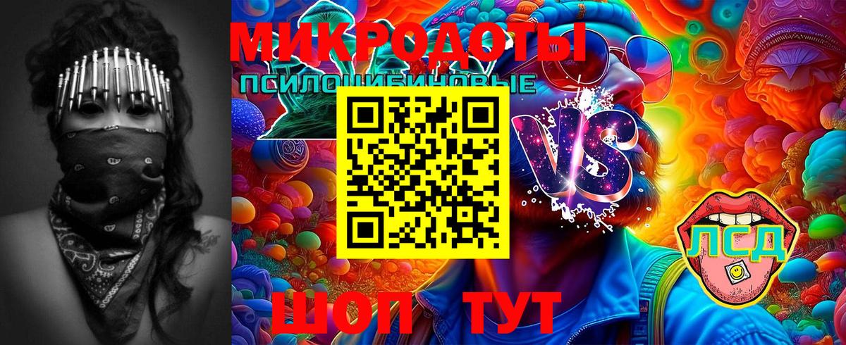 закладка  Вход с VPN  Псилоцибиновые грибы Magic Shrooms  Торжок  Галлюциногенные грибы Psilocybine cubensis 